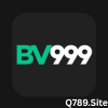 BV999 Game