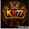 k1177 Game
