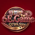 6E Game